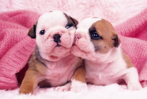 ж! 2020սͼ:48ɽ ¹ű