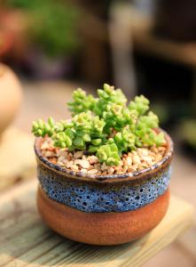 ɽۿൺִŶ:йǻ۸ۿػ